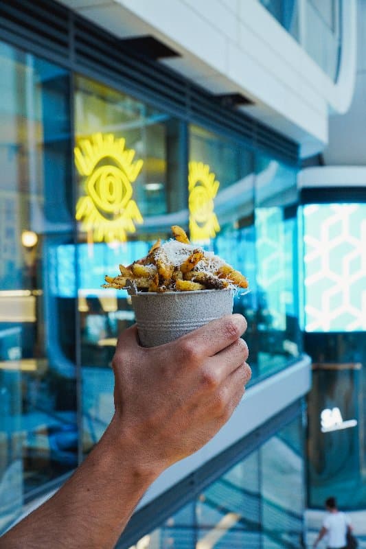 Truffled Parmesan Fries 